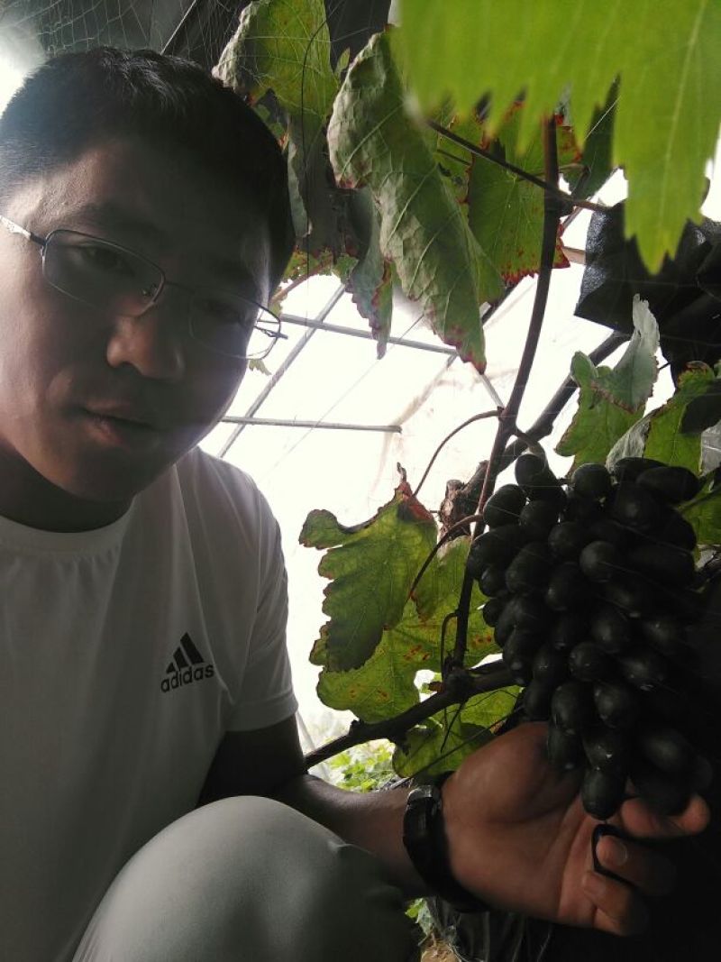 甜蜜蓝宝石基地直供保证纯度保证质量假一赔万