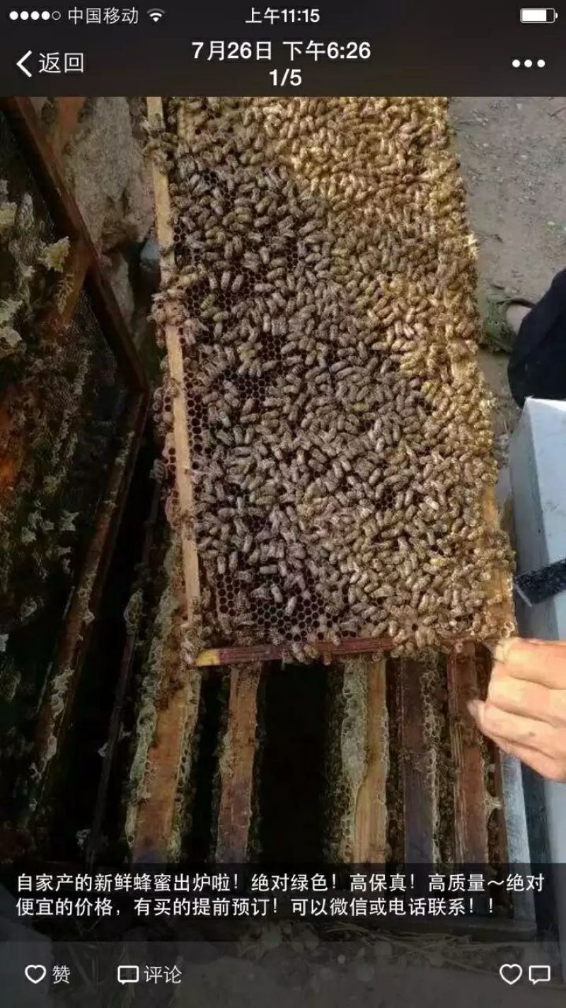 荆条蜜