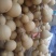 葫芦0.3斤以上品种齐全质量好价格低房屋装饰生肖葫芦