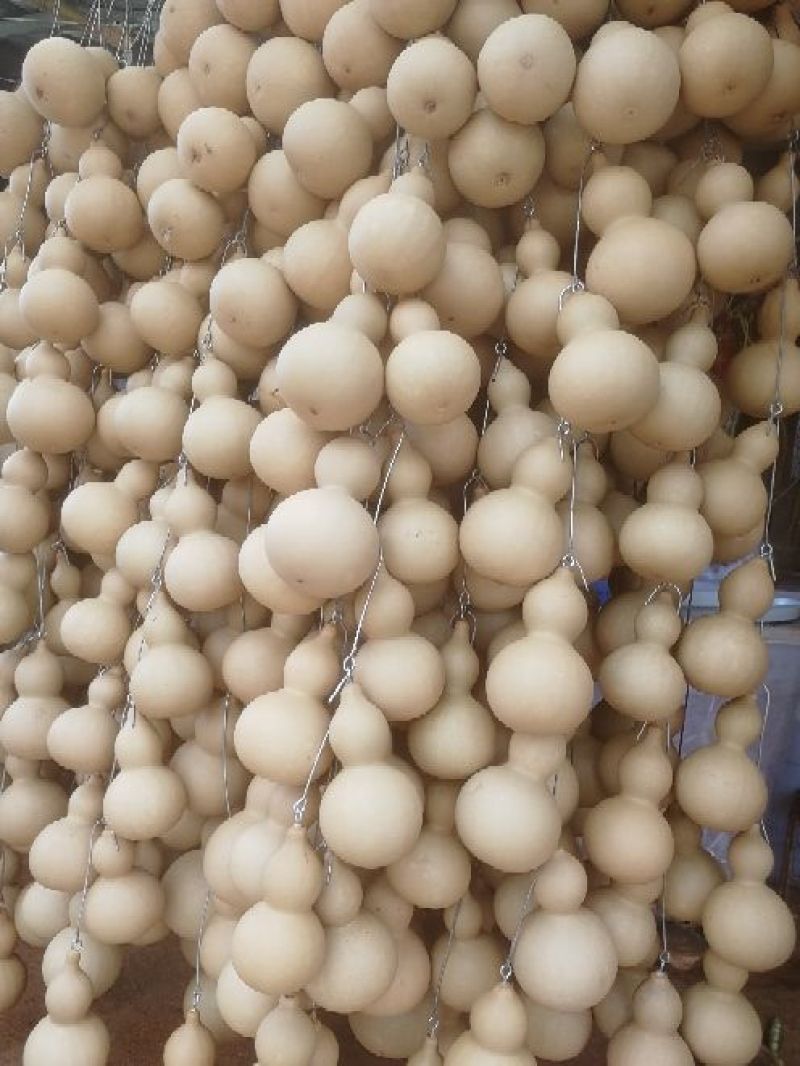葫芦8到10分左右
