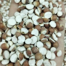 肇庆芡实米正宗肇庆芡实规格齐全24小时发货不包邮