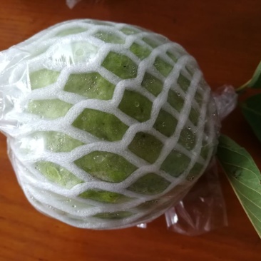 正宗台湾水晶番石榴