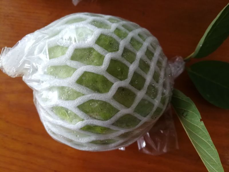 正宗台湾水晶番石榴