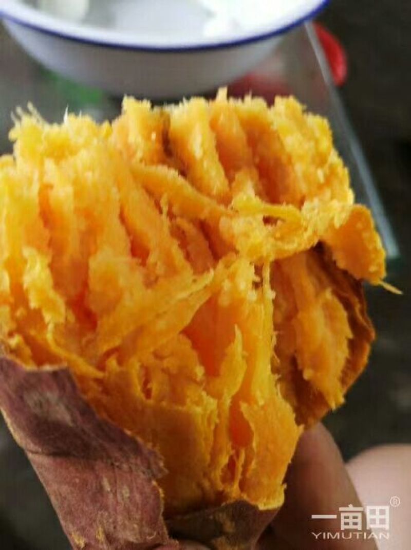 烟薯25，支持各种包装，一手货源，薯形好