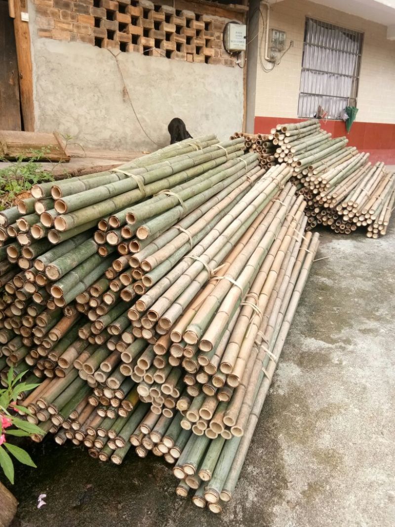供应各种规格竹子