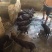 藏香猪公