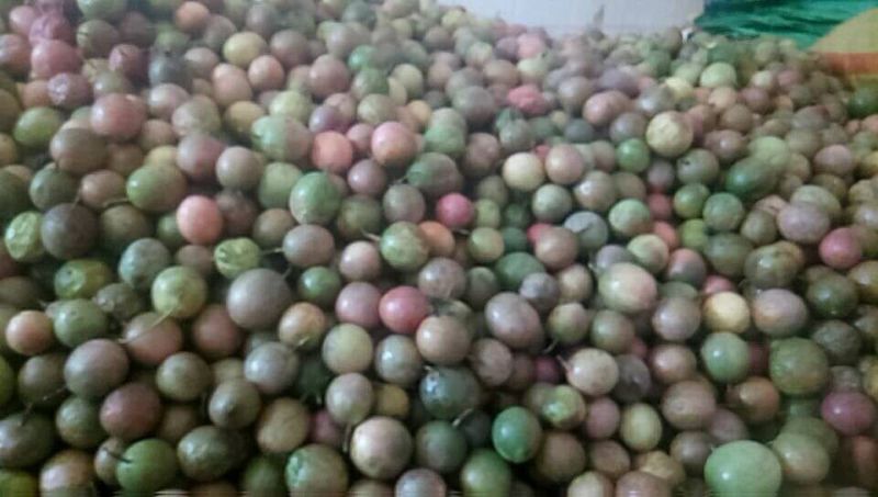 百香果小中大花皮丑果奶茶店果汁专用