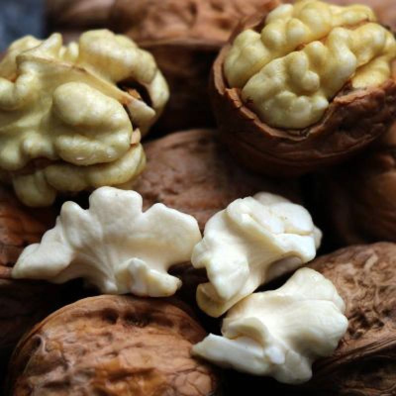 大量供应青皮核桃湿核桃质优价廉