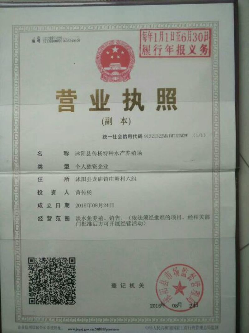 常年供应中华鳖