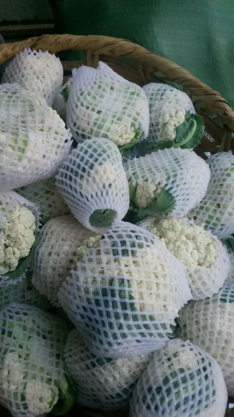 散花紧花产地直供，货源充足，实力代收，期待长期合作