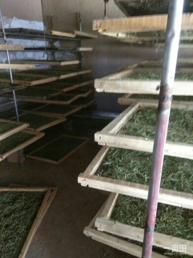 豆角丝大量上市，干，绿，细，