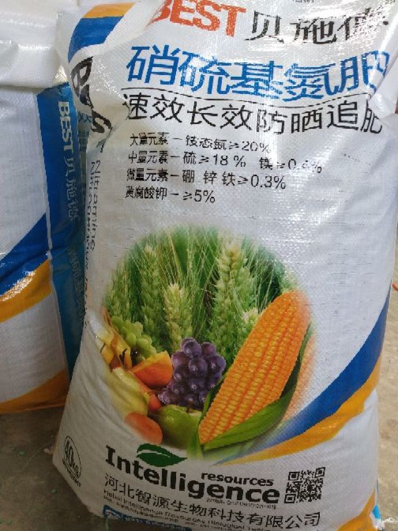硝硫基氮肥