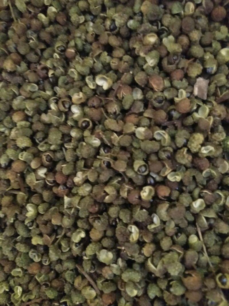 自己家的花椒不算太好