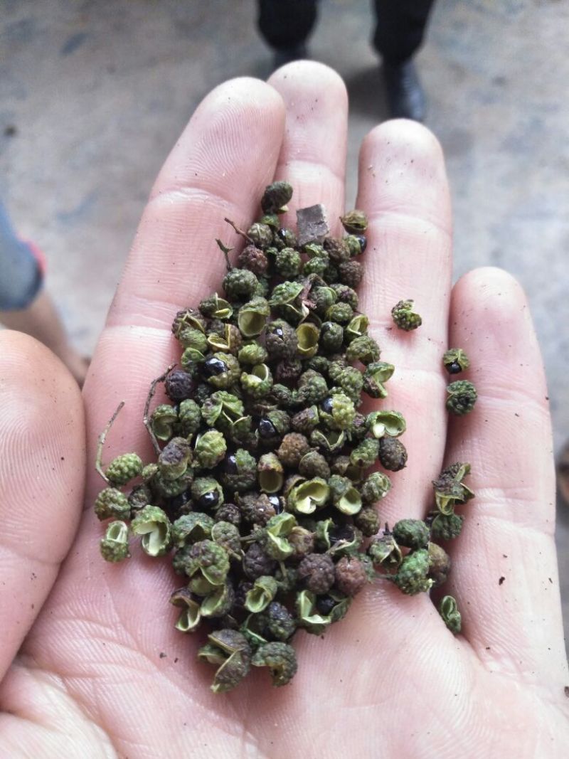 自己家的花椒不算太好