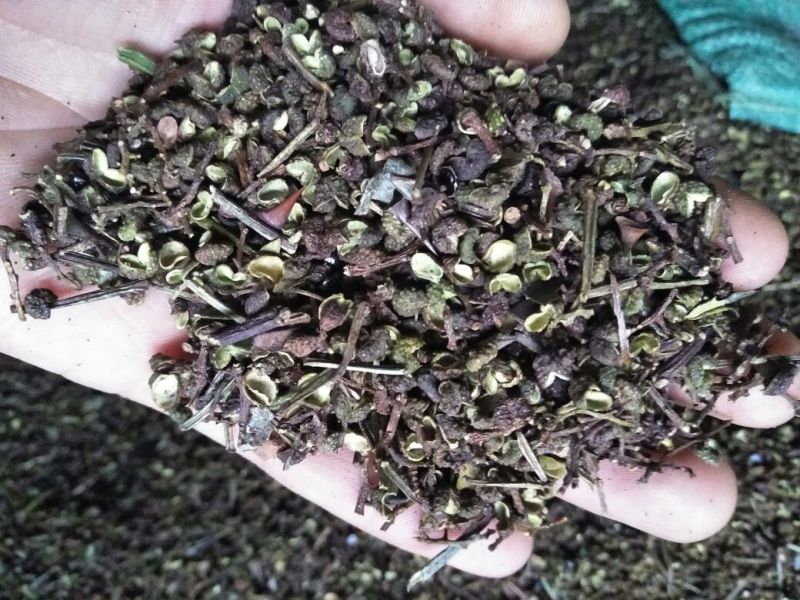 自己家的花椒不算太好