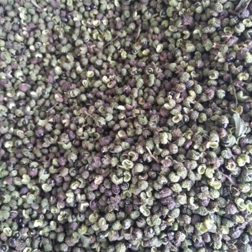 自己家的花椒不算太好