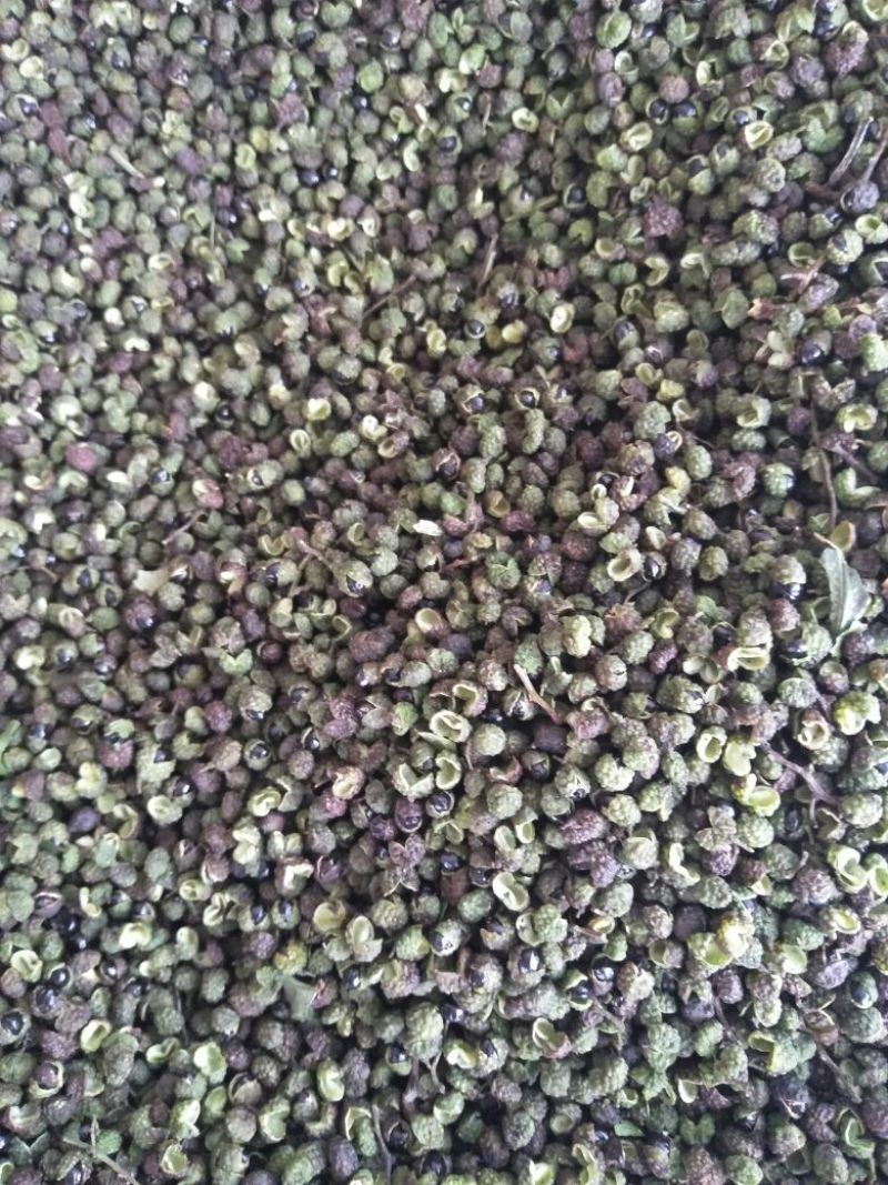 自己家的花椒不算太好