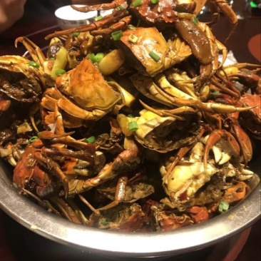 螃蟹食用雄蟹