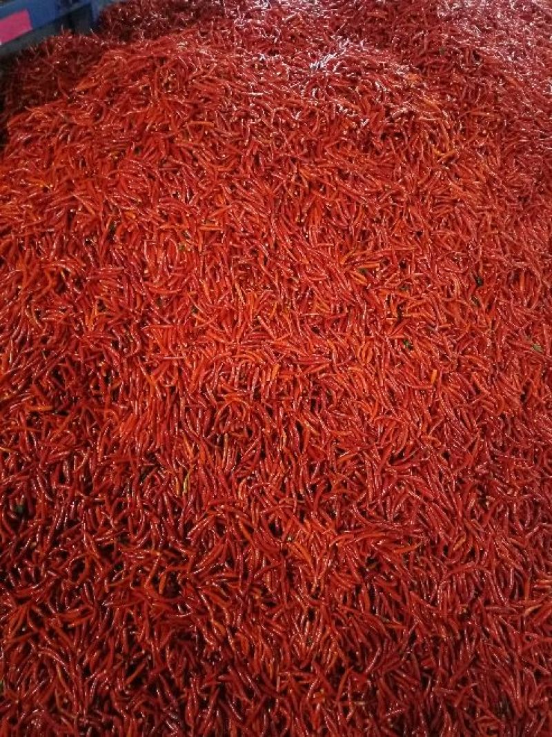 鲜辣椒