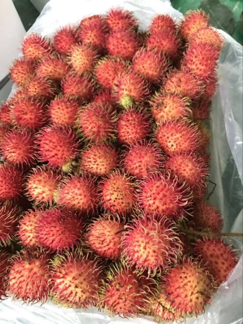 越南红毛丹新鲜水果东南亚时令热带水果4斤装