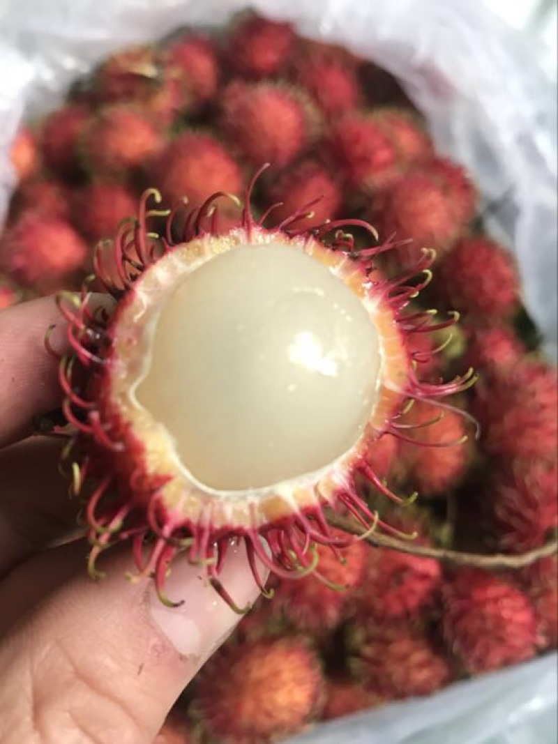 越南红毛丹新鲜水果东南亚时令热带水果4斤装