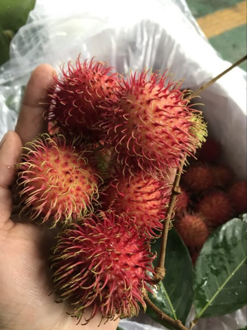 越南红毛丹新鲜水果东南亚时令热带水果4斤装