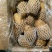 荷兰十五土豆4两以上