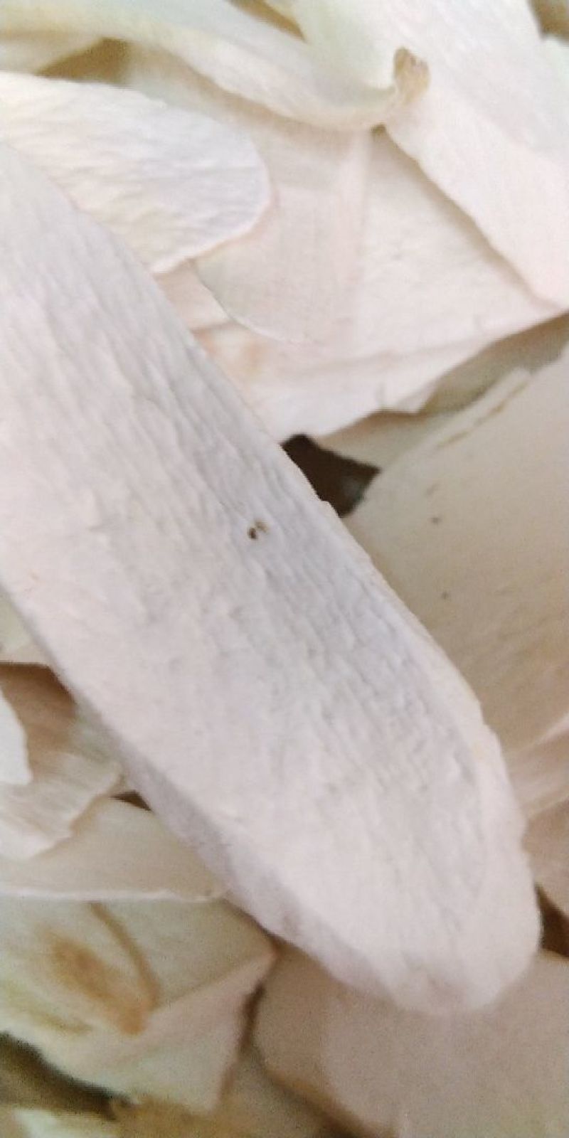 山药片中大片质量可以批发