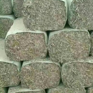 谷草，玉米秸秆压块