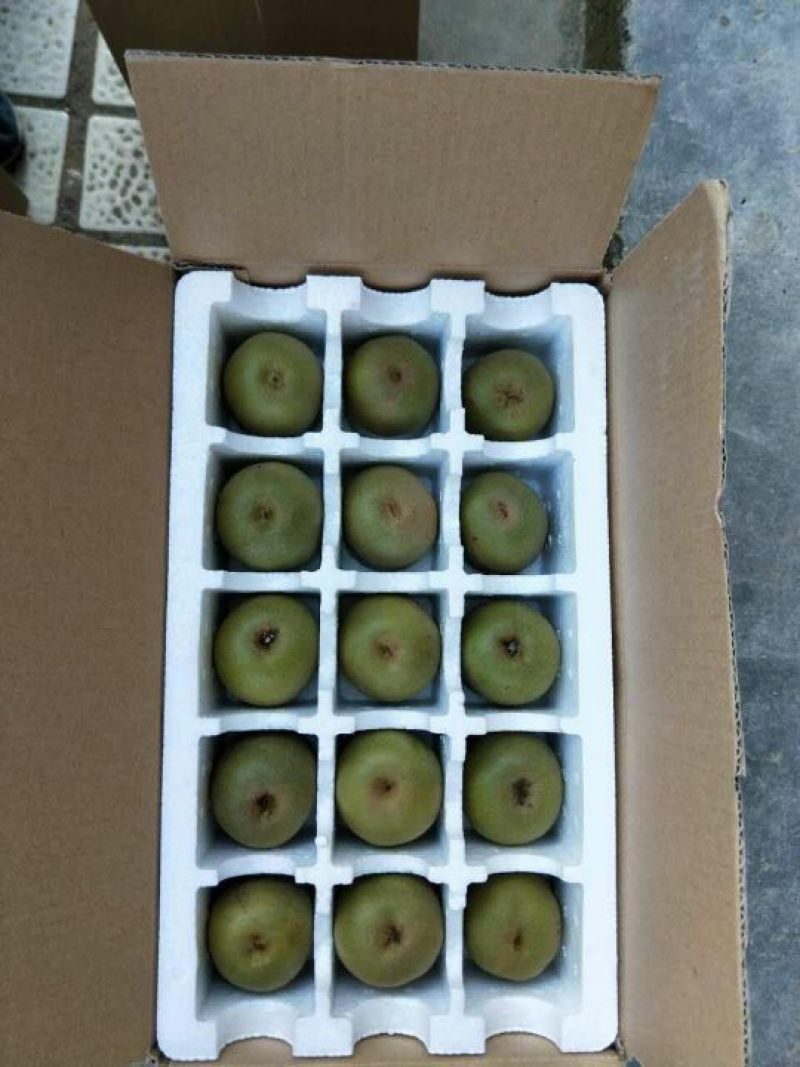 红心猕猴桃苗、产地直供、品质保证，现挖现买