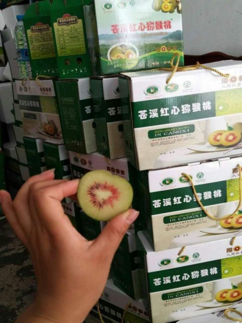 红心猕猴桃苗、产地直供、品质保证，现挖现买