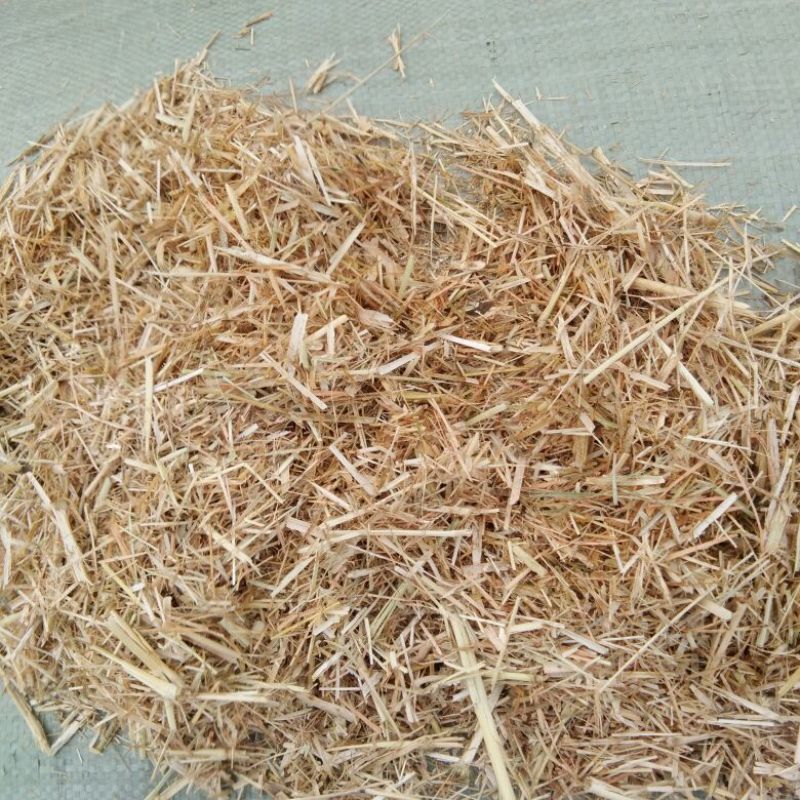 谷草，玉米秸秆压块
