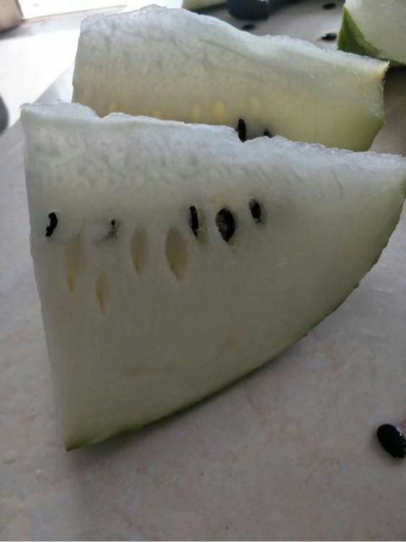 白冻瓜