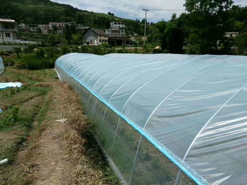 天津大棚骨架生产厂家直销可定做各种规格大棚管
