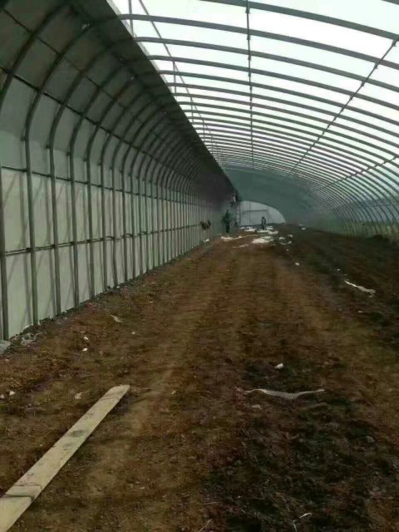 天津大棚骨架生产厂家直销可定做各种规格大棚管