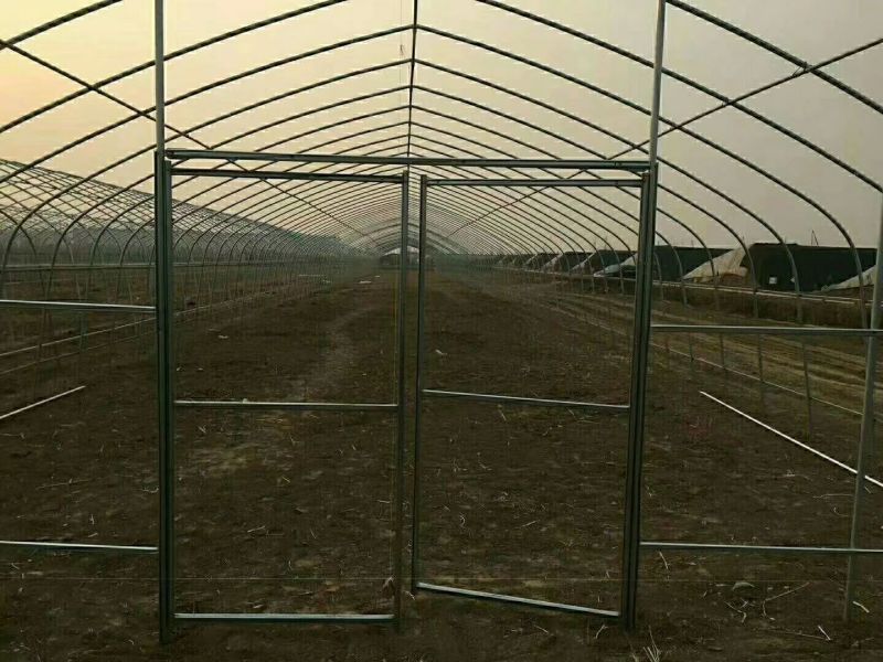天津大棚骨架生产厂家直销可定做各种规格大棚管