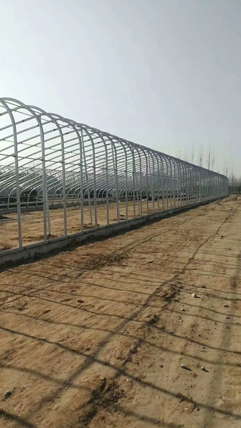 天津大棚骨架生产厂家直销可定做各种规格大棚管
