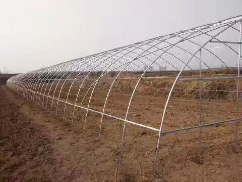 天津大棚骨架生产厂家直销可定做各种规格大棚管