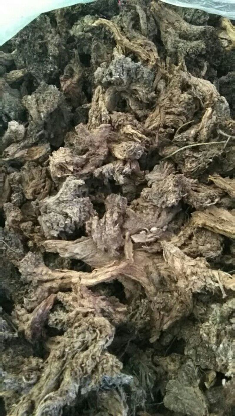 野生岩黄莲块茎，货好价格美丽！