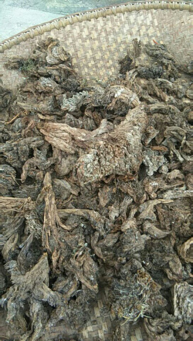 野生岩黄莲块茎，货好价格美丽！