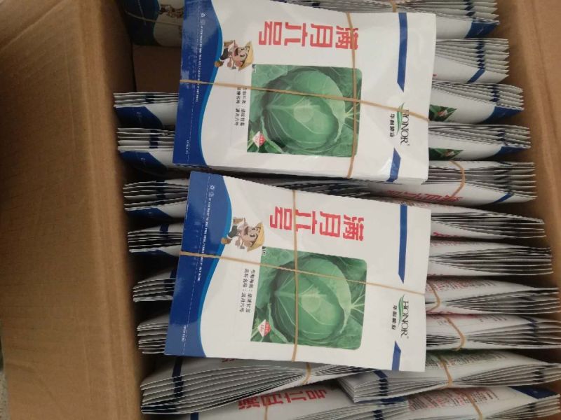 中甘21,常年批发