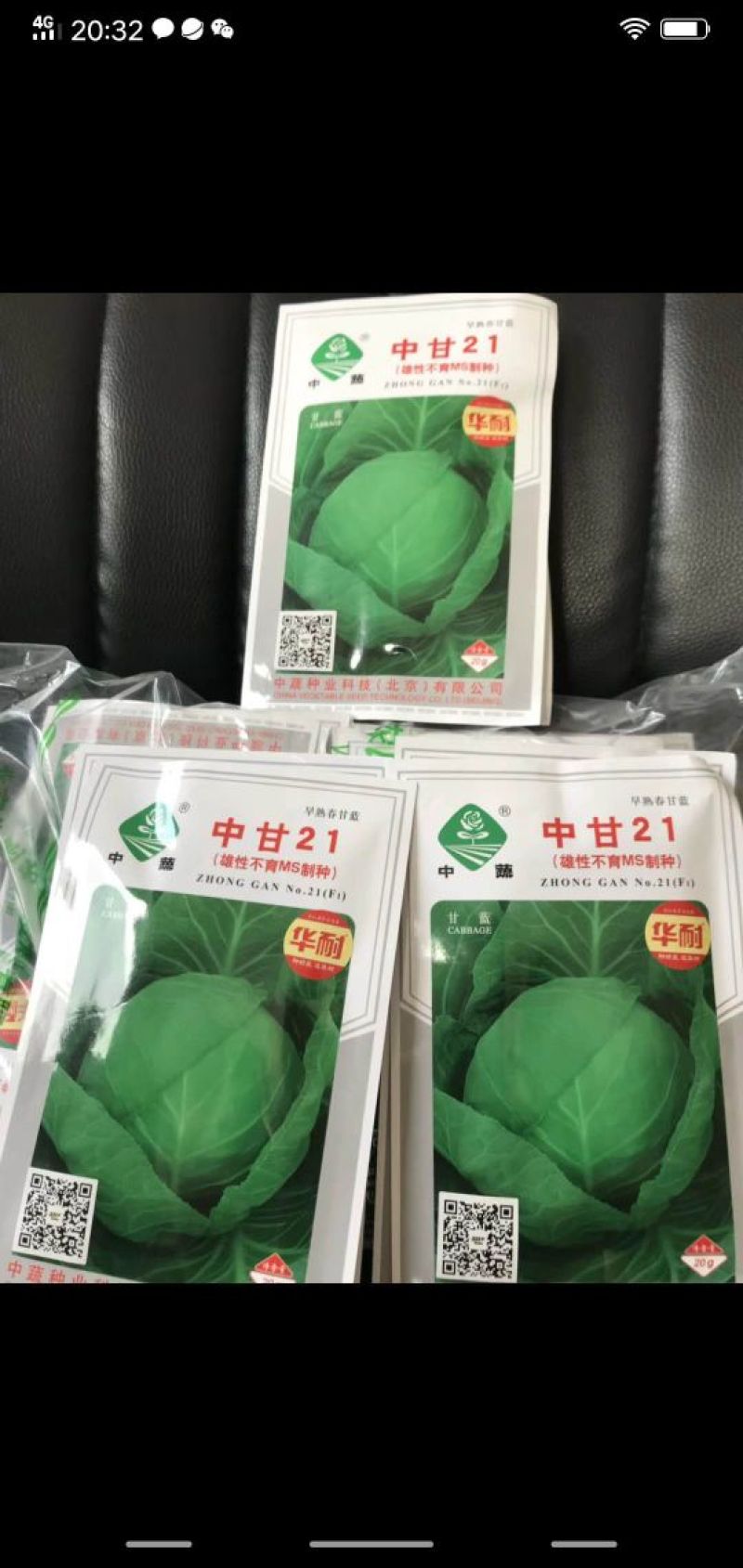 中甘21,常年批发