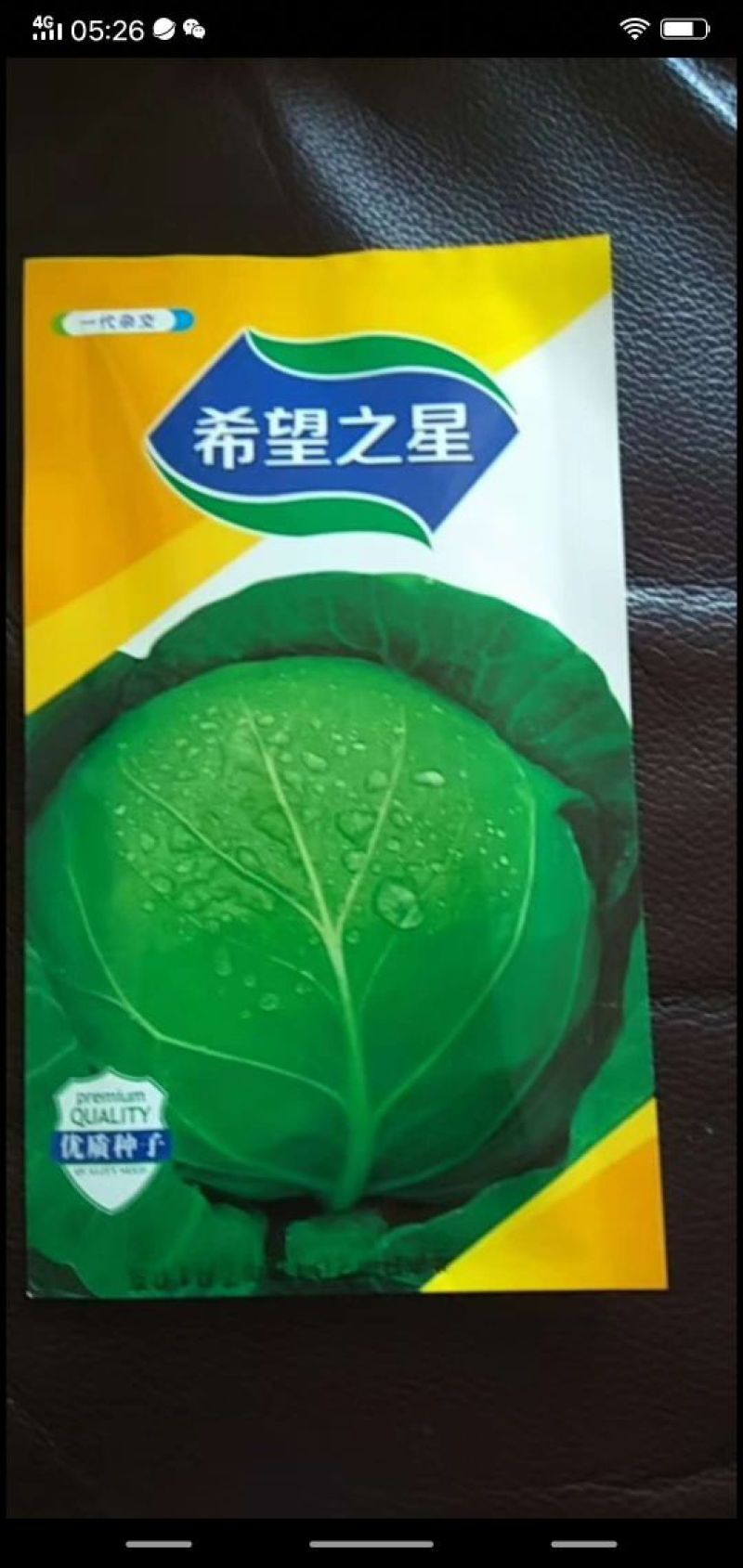 中甘21,常年批发