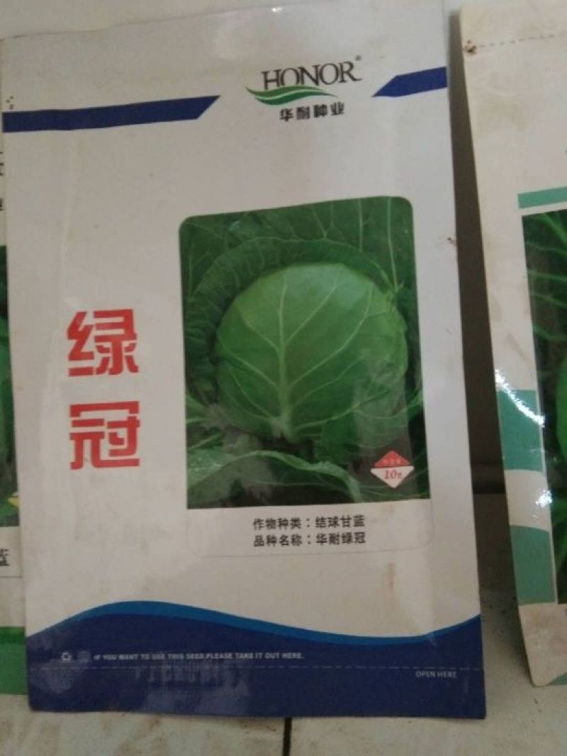 中甘21,常年批发