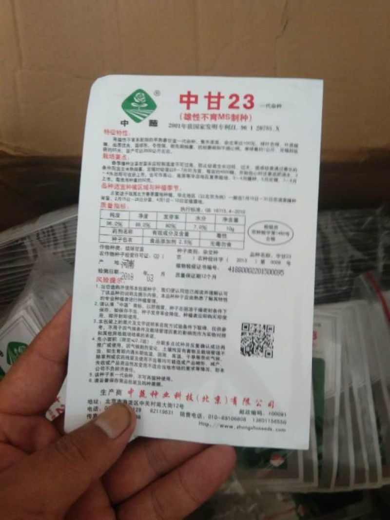 中甘21,常年批发