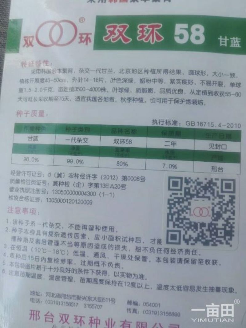 中甘21,常年批发