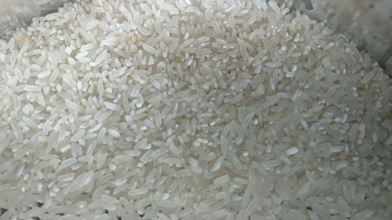 25年长粒填库稻，米厂加工稻水分14.出糙率76.0黄