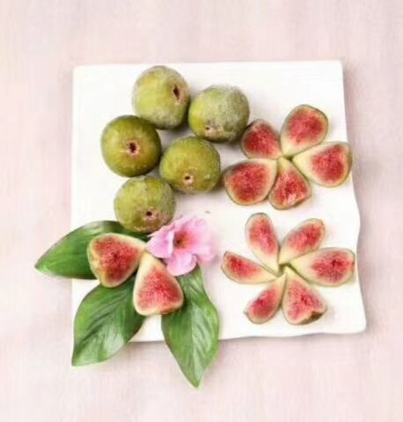 威海青皮冰冻速冻鲜果，冻干加工用果，工厂果，寻合作商家