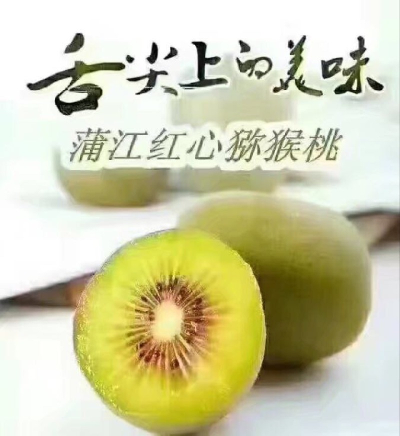 红阳猕猴桃90~110克