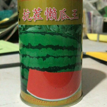 抗茬懒瓜西瓜种子50克/桶